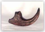 Allosaurus Claw