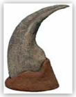 Allosaurus Hand Claw