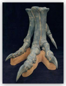 Allosaurus Foot on Base