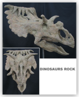 Skull Kosmoceratops