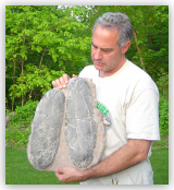 Giant Theropood Eggs - Possibly T-REX