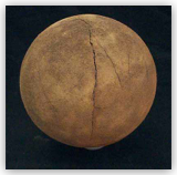 Sauropod Dinosaur Egg